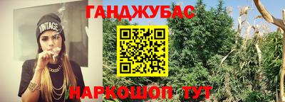 альфа пвп Новокубанск