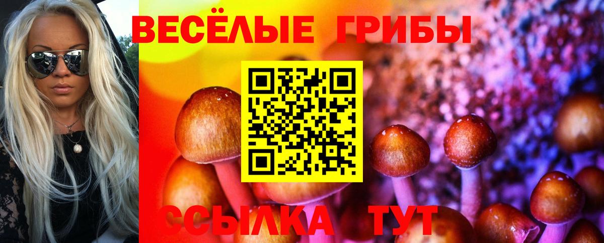 Галлюциногенные грибы Cubensis  Вход с VPN  где найти наркотики  Тихорецк 